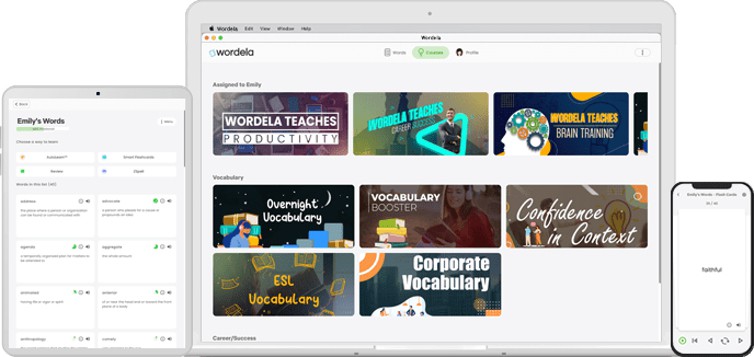wordela-review-tpl-screenshot-2